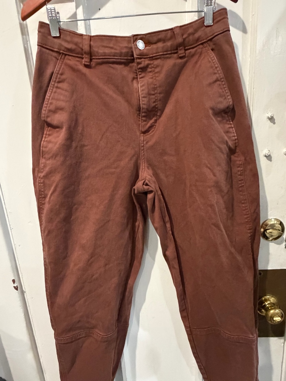 Everlane Men's Rust Brown Chino Pants